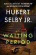 Waiting Period (eBook, ePUB) - Bild 1