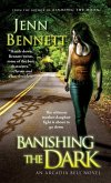 Banishing the Dark (eBook, ePUB)
