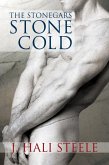 Stone Cold (eBook, ePUB)