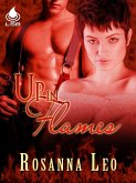 Up In Flames (eBook, ePUB)