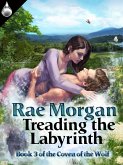 Treading the Labyrinth (eBook, ePUB)