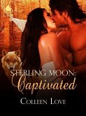 Captivated (eBook, ePUB)