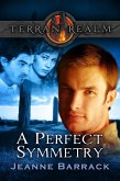 Perfect Symmetry (eBook, ePUB)