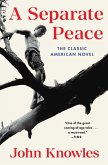 A Separate Peace (eBook, ePUB)