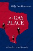 The Gay Place (eBook, ePUB)
