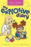 My Explosive Diary (eBook, ePUB)