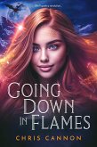 Going Down in Flames (eBook, ePUB)