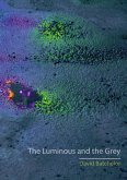 Luminous and the Grey (eBook, ePUB)