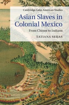 Asian Slaves in Colonial Mexico (eBook, PDF) - Seijas, Tatiana