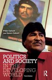 Politics and Society in the Developing World (eBook, ePUB)
