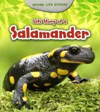 Life Story of a Salamander (eBook, PDF)