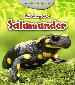 Cover Life Story of a Salamander (eBook, PDF)