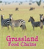 Grassland Food Chains (eBook, PDF)