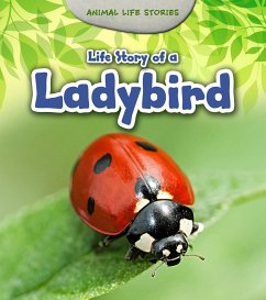 Cover Life Story of a Ladybird (eBook, PDF)