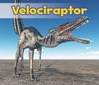 Velociraptor (eBook, PDF)