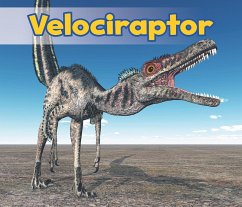 Velociraptor (eBook, PDF) - Nunn, Daniel