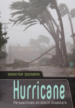 Hurricane (eBook, PDF) - Langley, Andrew