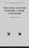 The State and the Economy Under Capitalism (eBook, ePUB)