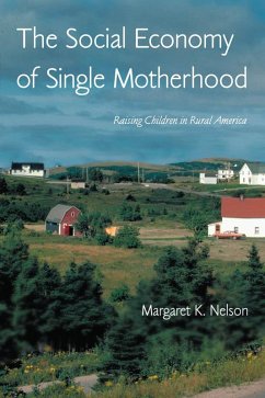 The Social Economy of Single Motherhood (eBook, ePUB) - Nelson, Margaret