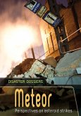 Meteor (eBook, PDF) Meteor (eBook, PDF)