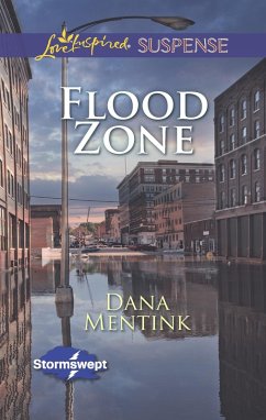 Cover Flood Zone (eBook, ePUB)