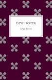 Devil Water (eBook, ePUB)