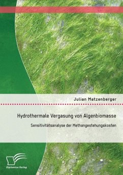Hydrothermale Vergasung von Algenbiomasse: Sensitivitätsanalyse der Methangestehungskosten - Matzenberger, Julian