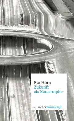 Zukunft als Katastrophe (eBook, ePUB) - Horn, Eva