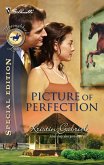 Picture Of Perfection (Mills & Boon Silhouette) (eBook, ePUB)