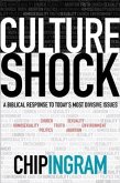 Culture Shock (eBook, ePUB)