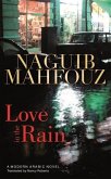 Love in the Rain (eBook, PDF)