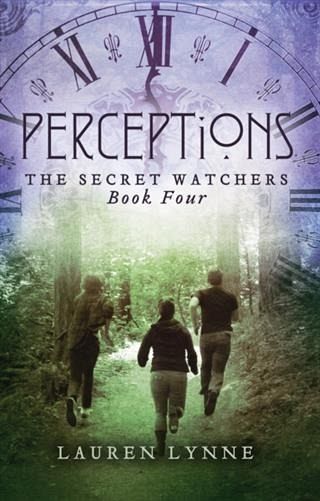 Perceptions (eBook, ePUB)