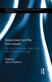 Government and the Environment (eBook, ePUB)