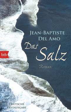 Das Salz (eBook, ePUB) - Del Amo, Jean-Baptiste