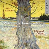 Visions Of A November Spring Visions Of A November Spring