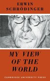 My View of the World (eBook, ePUB)