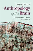Anthropology of the Brain (eBook, ePUB)