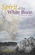 Spirit of the White Bison (eBook, PDF) - Bild 1