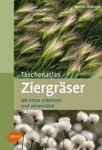 Ziergräser (eBook, PDF)