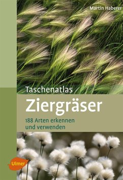 Ziergräser (eBook, PDF) - Haberer, Martin