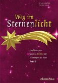 Weg im Sternenlicht