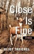 Close is Fine (eBook, ePUB) - Bild 1