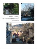 Mein Niederstetten (eBook, ePUB)