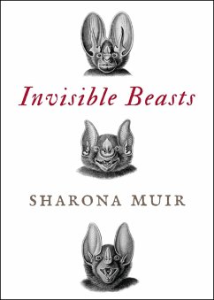 Cover Invisible Beasts (eBook, ePUB)