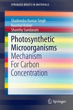 Photosynthetic Microorganisms - Singh, Shailendra Kumar;Sundaram, Shanthy;Kishor, Kaushal