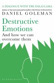 Destructive Emotions (eBook, ePUB)