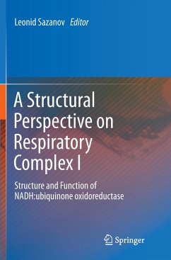 A Structural Perspective on Respiratory Complex I