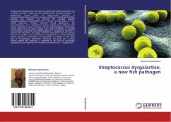Streptococcus dysgalactiae, a new fish pathogen