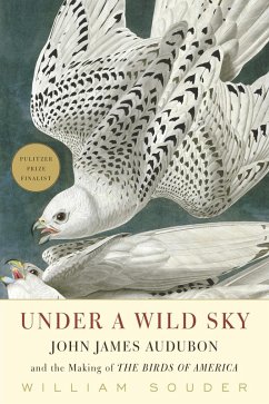 Cover Under a Wild Sky (eBook, ePUB)