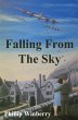 Falling From The Sky (eBook, ePUB) - Bild 1